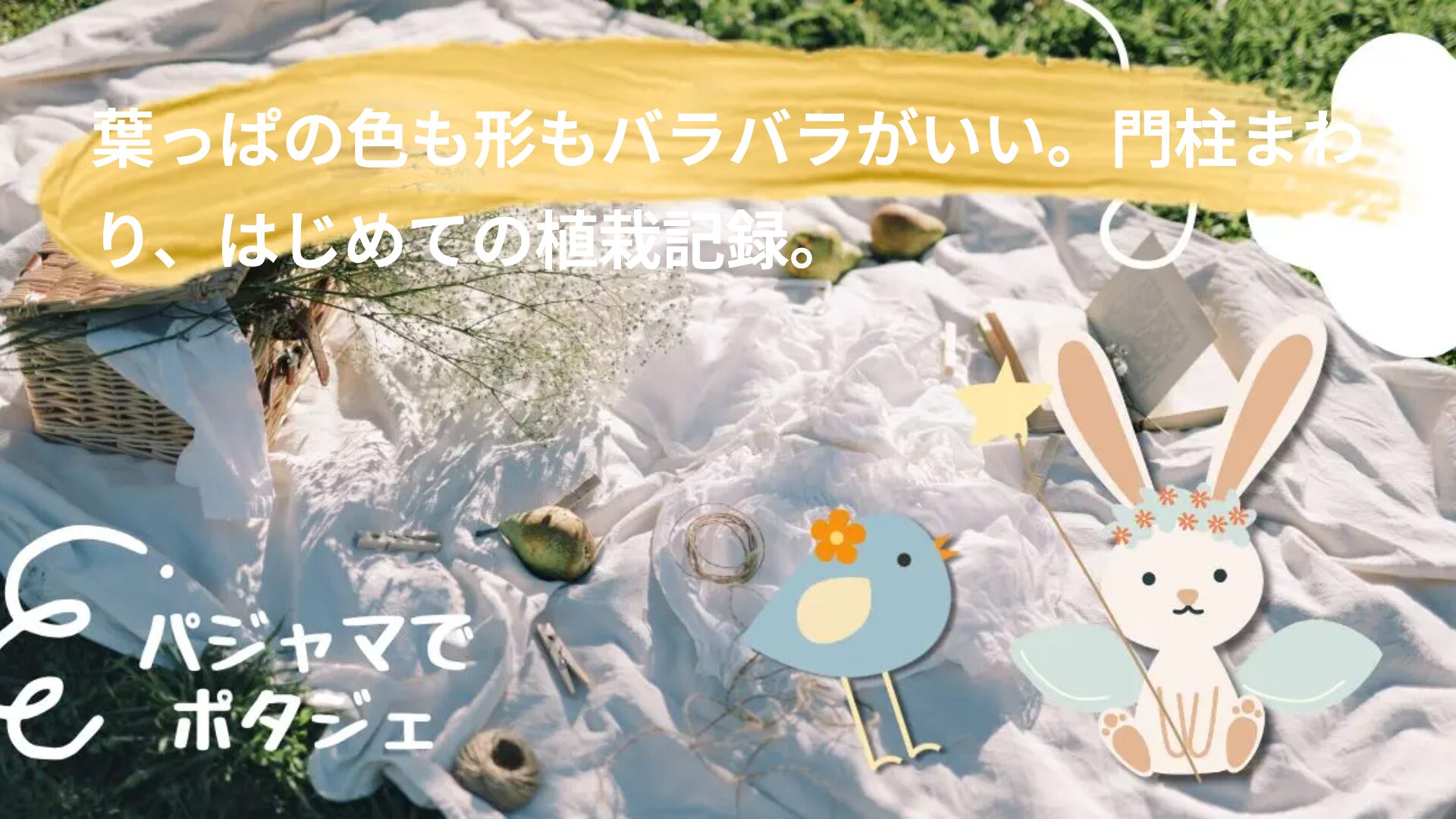 葉っぱの色も形もバラバラがいい。門柱まわり、はじめての植栽記録。