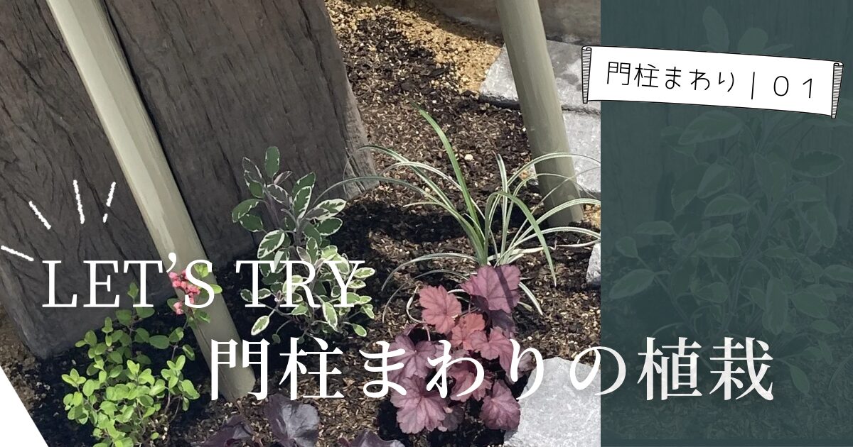 葉っぱの色も形もバラバラがいい。門柱まわり、はじめての植栽記録。